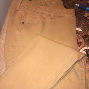 Women’s plus size pants